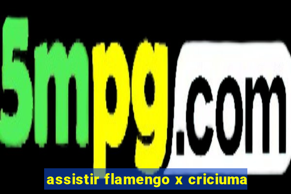 assistir flamengo x criciuma